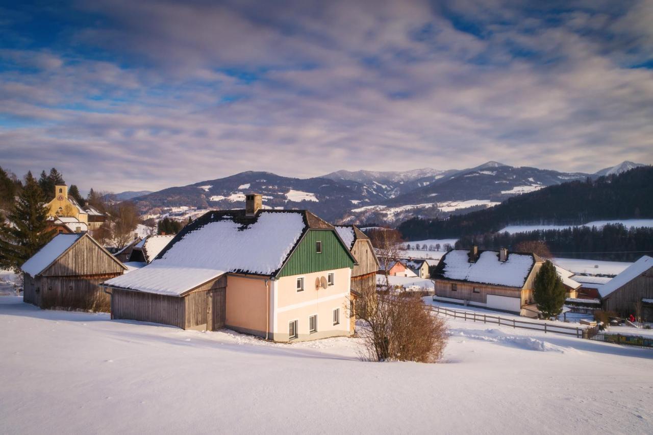 Ferienhaus Schwoellerbauer Sankt Martin am Grimming Exteriér fotografie